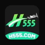 H555 Game