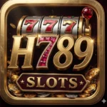 H789 Game