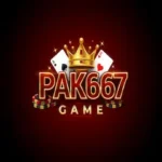 PAK667 Game